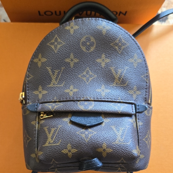 Louis Vuitton Monogram Palm Springs Mini Backpack - Picture 1 of 11